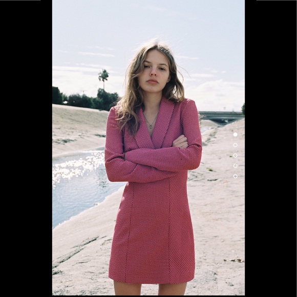 ZARA | Pink Houndstooth Blazer Dress - Picture 2 of 6